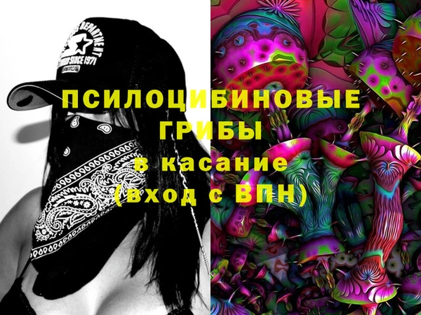 гидропоника Каменск-Шахтинский