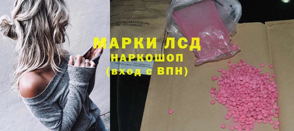 ECSTASY Каменка