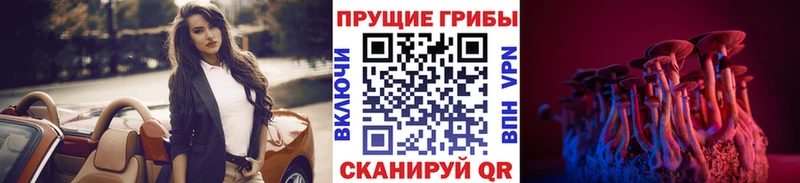 ОМГ ОМГ зеркало  Кызыл  Галлюциногенные грибы Psilocybine cubensis 